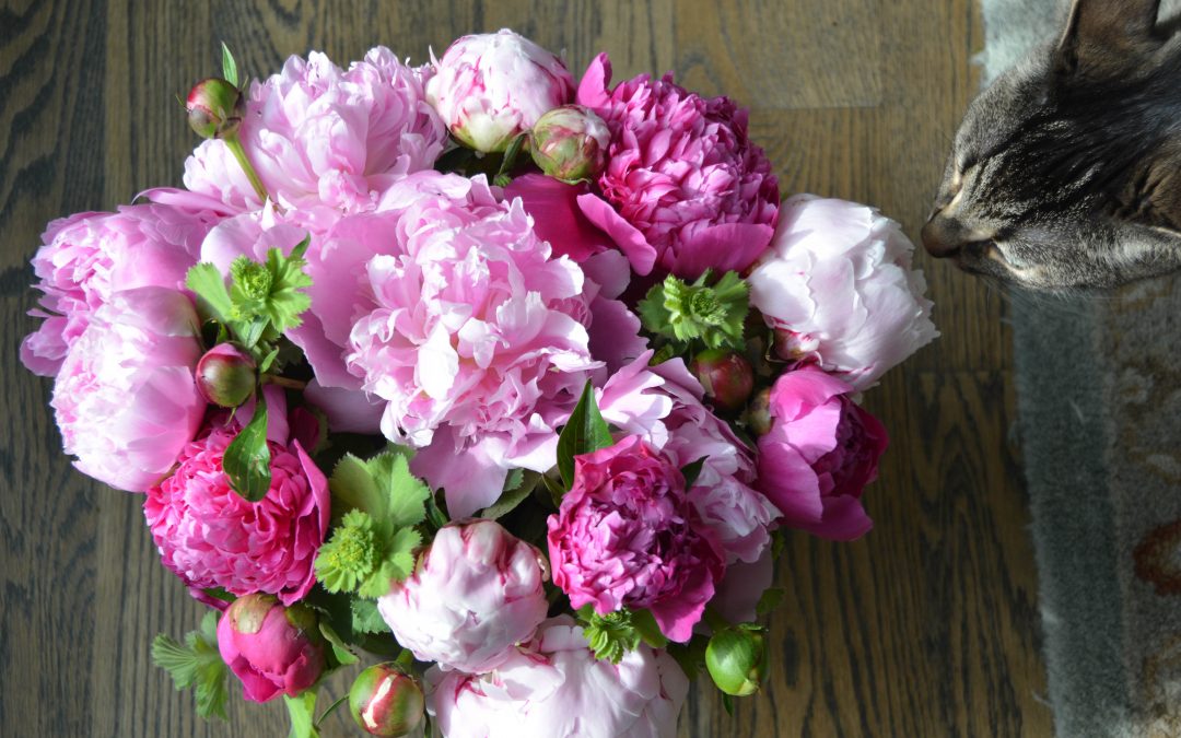 Minton & Boyle Dessert Set with Peonies