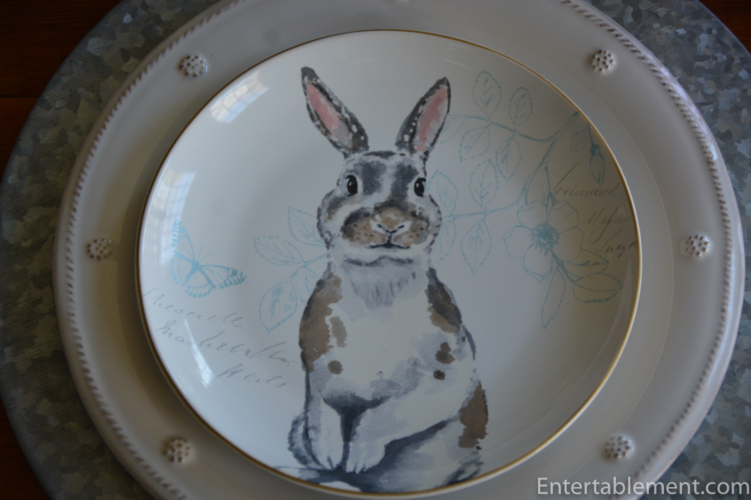 NEW Pier 1 Imports SKETCH BUNNY 8.5" Salad Plate Rabbit Monarch Butterfly Nose 