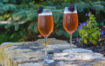 Blackberry Champagne Cocktail