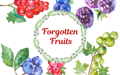 Forgotten Fruits