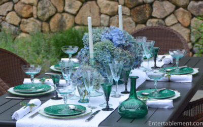 Turquoise Dragonflies Inspire